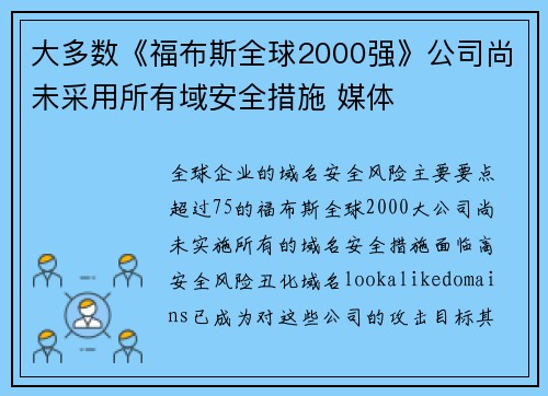 大多数《福布斯全球2000强》公司尚未采用所有域安全措施 媒体